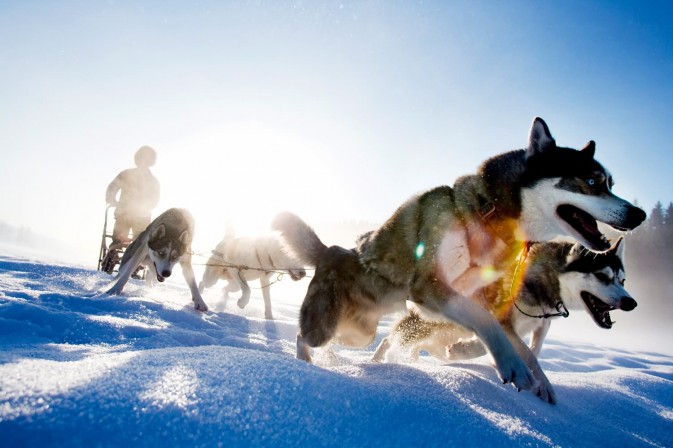 冬季貝加爾,適合享受冰上運動,狗拉雪橇、雪上摩托車、雪地徒步等都是不錯的選擇 F5.6,1/115秒