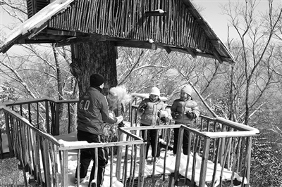 　　clubmed里有來自國外的滑雪教練教兒童滑雪?！? oldsrc=