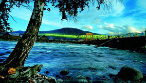 新疆禾木 隱居的云間部落 新疆禾木 隱居的云間部落