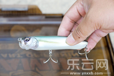 　　又稱擬餌釣魚,起源于歐洲,國內(nèi)翻譯為“路亞”。