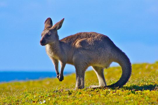 全家出國(guó)游去哪里？推薦十佳旅游勝地