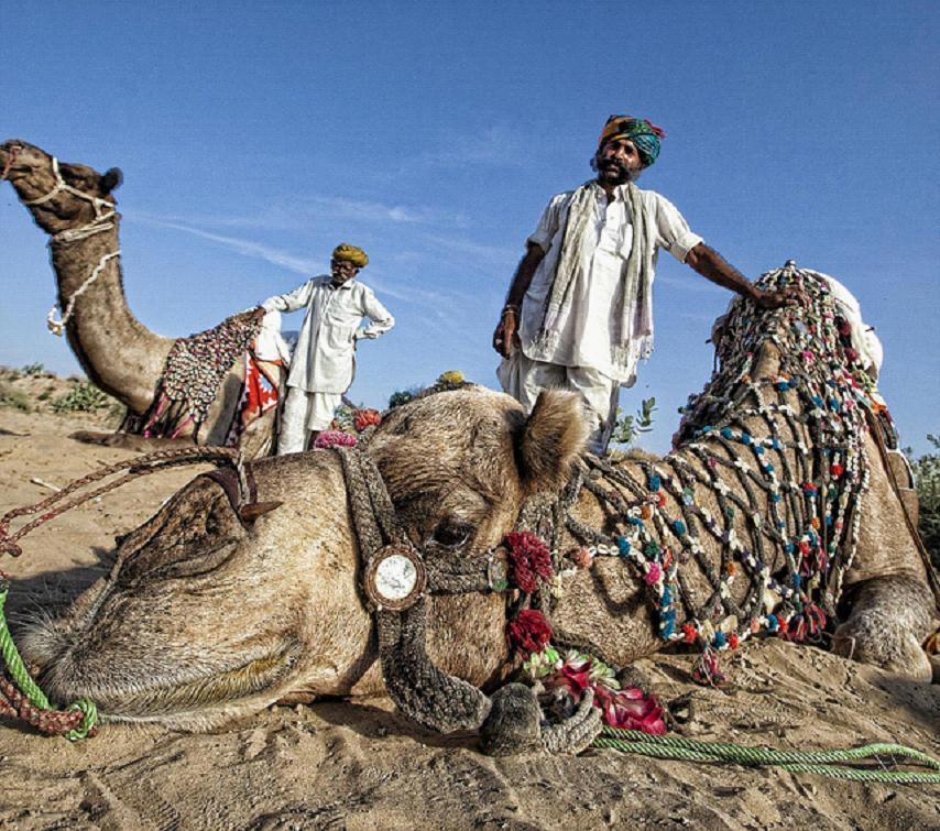 全家出國(guó)游去哪里？推薦十佳旅游勝地