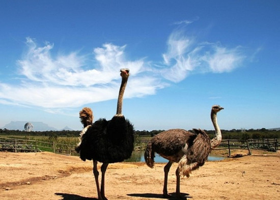 帶著媽媽去旅游 母親節(jié)河南景區(qū)感恩特惠 帶著媽媽去旅游 母親節(jié)河南景區(qū)感恩特惠