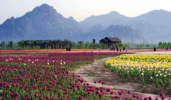 別樣蜜月，河南最適宜新婚度假的景區(qū)