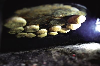 吊爐燒餅是黃驊最典型的面食之一，這種手藝在一些老院子里已經(jīng)傳承了上百年時間。