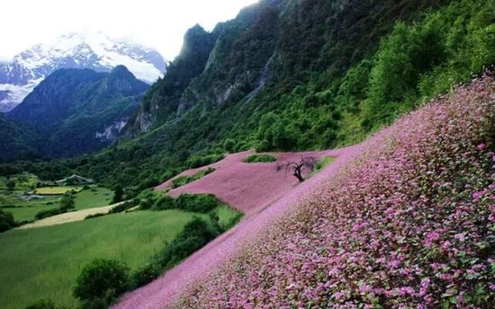 云南的另一個天堂 我約你一起去！