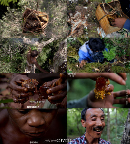 網(wǎng)友上傳《舌尖2》與BBC視頻截圖對比照 網(wǎng)友上傳《舌尖2》與BBC視頻截圖對比照