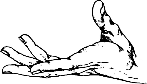 　時間：拿到通知書，未報到就可申請