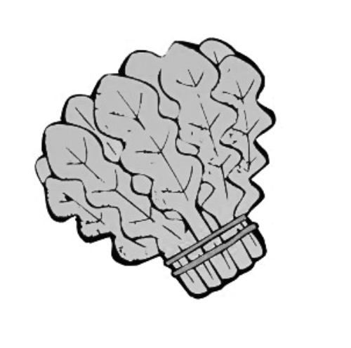 雪后菜價瘋漲15倍？沒恁夸張 元旦豬肉雞蛋或漲價