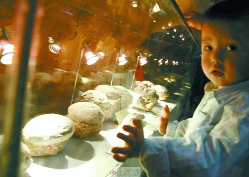 恐龍蛋，這回見識了吧！