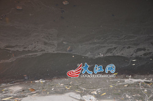 19日晚上的玉帶河，紅色河水變回灰綠色。