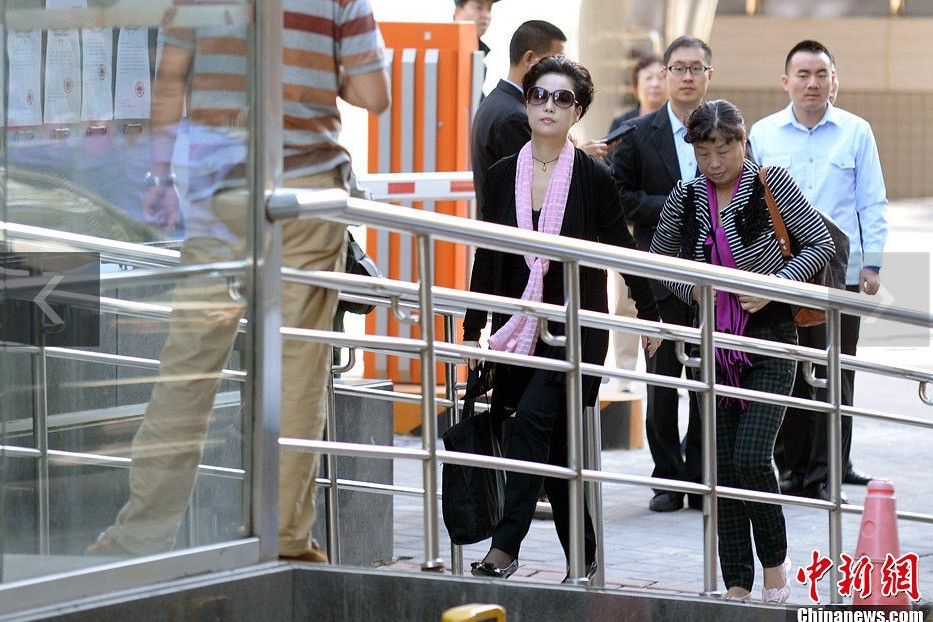 夢(mèng)鴿現(xiàn)身海淀法院。中新網(wǎng)記者 金碩 攝