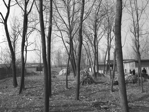 486臺兒莊戰(zhàn)役將士埋骨荒野 紀念設施或年內(nèi)落成 486臺兒莊戰(zhàn)役將士埋骨荒野 紀念設施或年內(nèi)落成