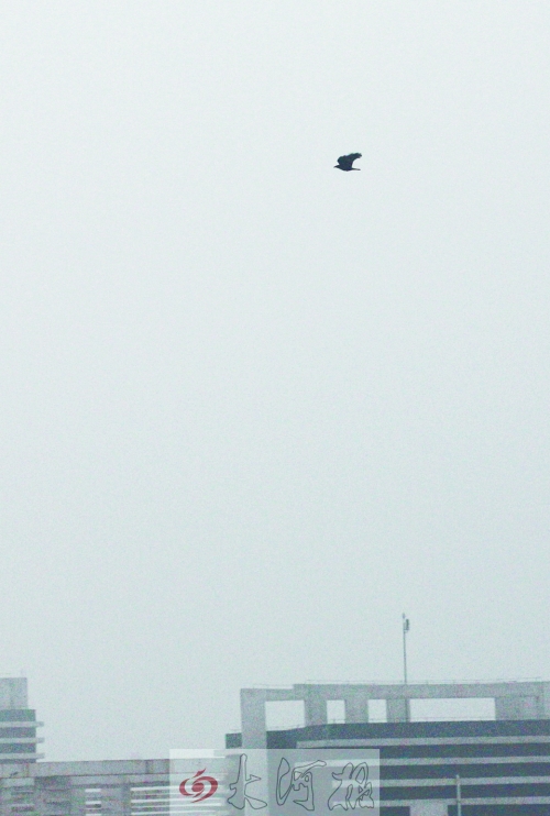 全省35個縣市發(fā)布惡劣天氣預(yù)警信號，其中15個發(fā)布大霧紅色預(yù)警