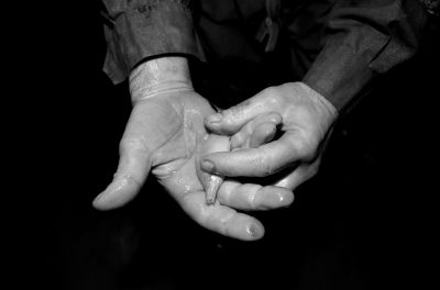 圖為科考人員發(fā)現(xiàn)的洞穴動(dòng)物（3月2日攝）。