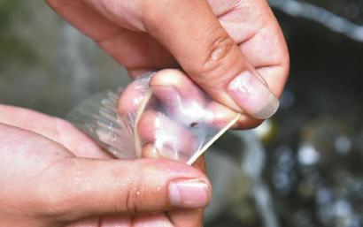 避孕套存在小孔。