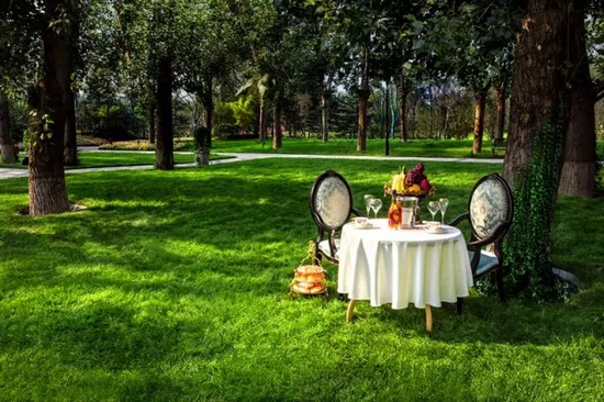 秋陽鴻園，芳草青青