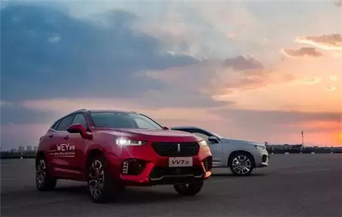 去年“蹦”出來的新汽車品牌們，現(xiàn)在活得怎么樣了？