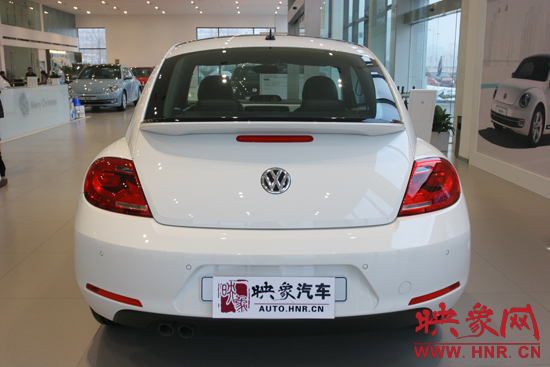 甲殼蟲(chóng) 甲殼蟲(chóng)