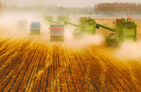 田里，一臺臺收割機(jī)唱著豐收歌。