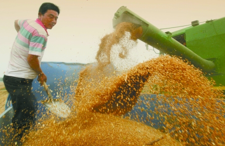 心情喜悅麥龍舞。