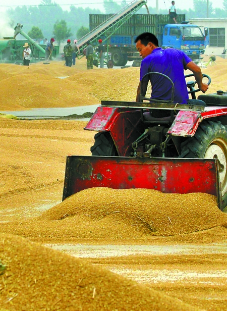 精心晾曬，散倉入庫。