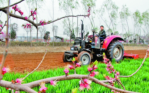 　　3月25日，武陟縣龍?jiān)崔k事處東馬曲村村民正在田里耕作。時(shí)下正值春耕時(shí)節(jié)，武陟農(nóng)民紛紛抓住有利時(shí)機(jī)