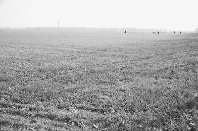 項城市丁集鎮(zhèn)平墳復耕后的農田 項城市丁集鎮(zhèn)平墳復耕后的農田