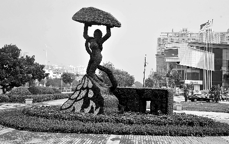 8月28日，南陽街頭繁花似錦，市民宛若行走在花海之中。