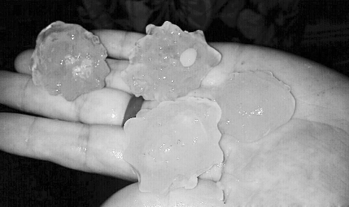 昨天凌晨，三門峽下起了冰雹，最大直徑近1厘米 微博截圖