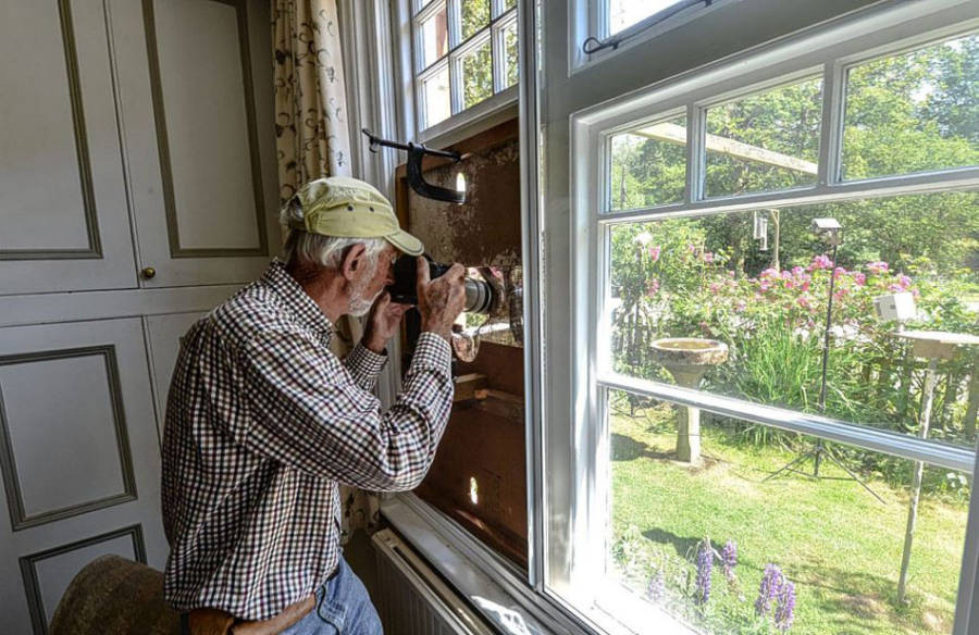 老人自制相機(jī)拍小鳥(niǎo)“梳洗”照 老人自制相機(jī)拍小鳥(niǎo)“梳洗”照