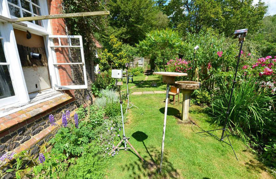 老人自制相機(jī)拍小鳥(niǎo)“梳洗”照 老人自制相機(jī)拍小鳥(niǎo)“梳洗”照