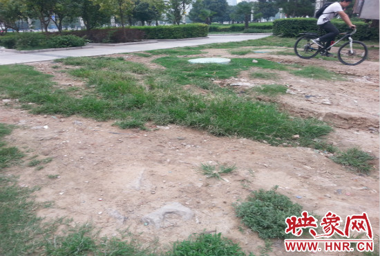 公園內(nèi)大片草坪遭到破壞。