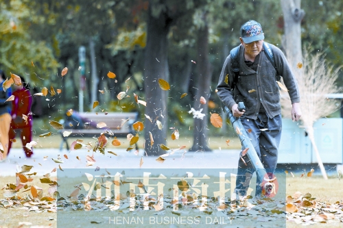 秋風吹過，落葉滿地