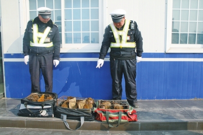 民警查獲的乘客行李包中，裝的全是獼猴。