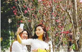 市民在公園與花合影。