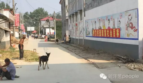 孫莊村一角。新京報記者安鐘汝 攝