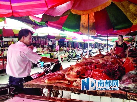  昨日，玉林垌口市場(chǎng)，一位市民在購(gòu)買狗肉。