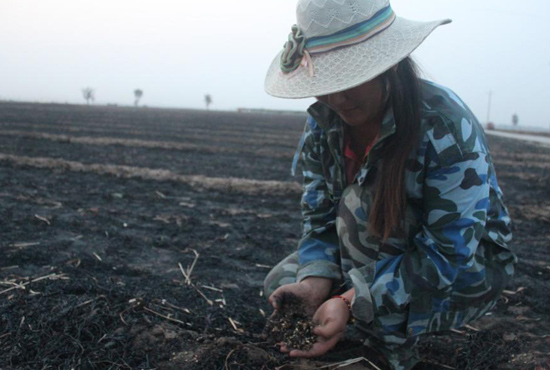 村民們眼巴巴看著豐收的小麥“葬身”火海，心疼不已。