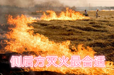 不要在風(fēng)頭上打火：風(fēng)正大，火正旺，最容易傷人；