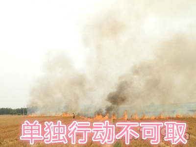 不要單獨(dú)一個人亂沖亂打：單獨(dú)行動被煙氣沖昏倒地，無人發(fā)覺被燒；