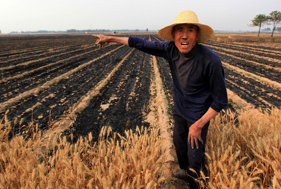 河南省滑縣、內(nèi)黃縣麥田著火，麥壟套種的花生、玉米苗也被烤焦，群眾損失慘重