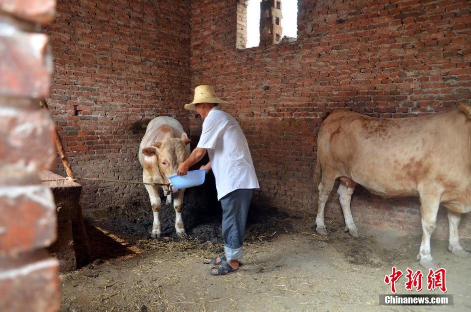 同時，地下水位的持續(xù)下降以及部分山泉水的干涸，已造成全縣2.85萬人和2000頭大牲畜出現(xiàn)飲水困難。