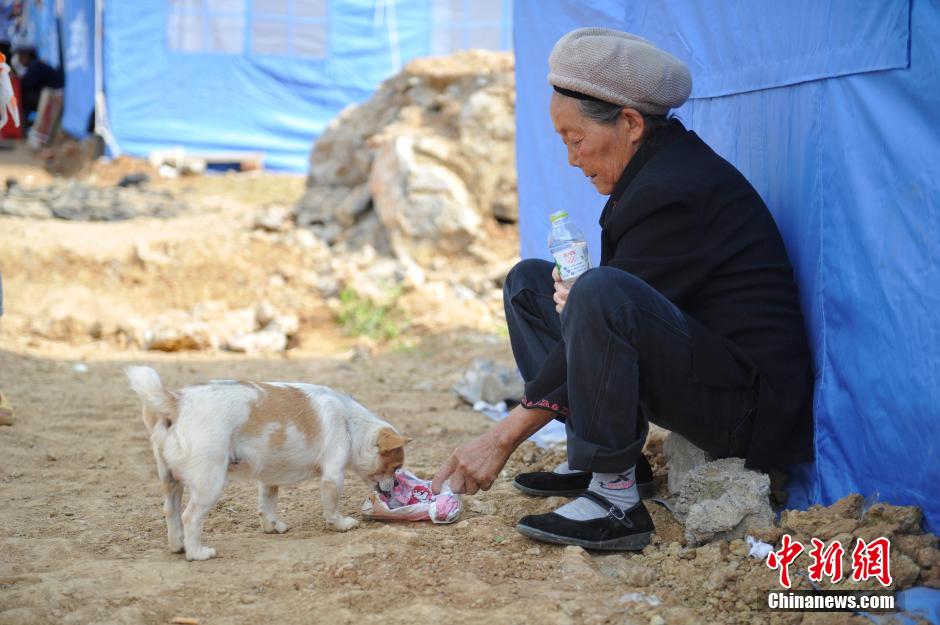 8月6日，一名老人將剛領(lǐng)到的礦泉水分給小狗。