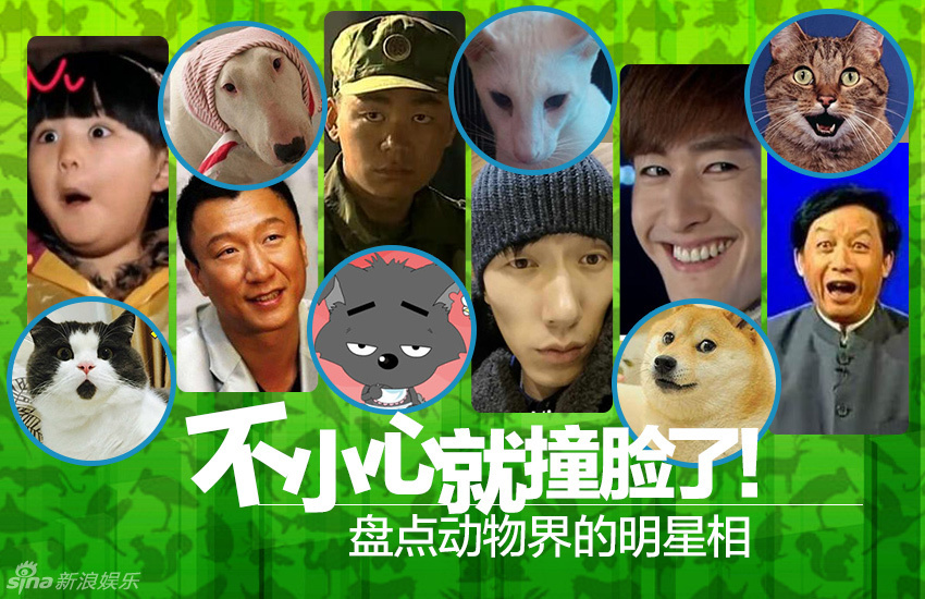 不小心就撞臉了！盤點(diǎn)動(dòng)物界的明星相