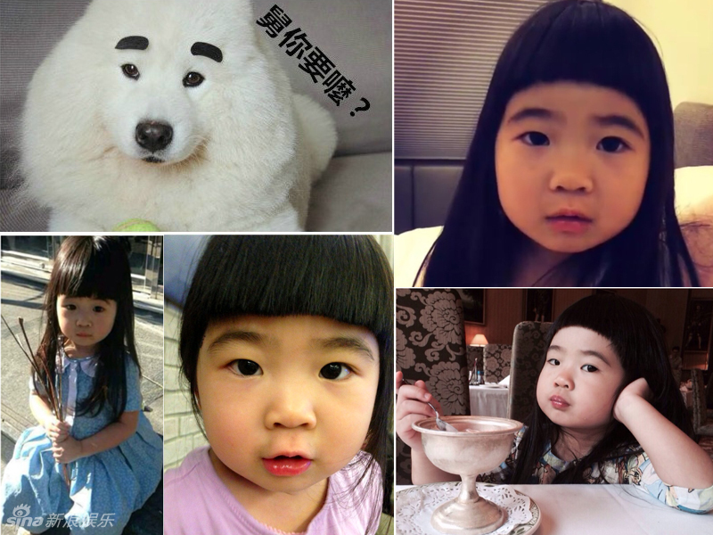 不小心就撞臉了！盤點(diǎn)動(dòng)物界的明星相