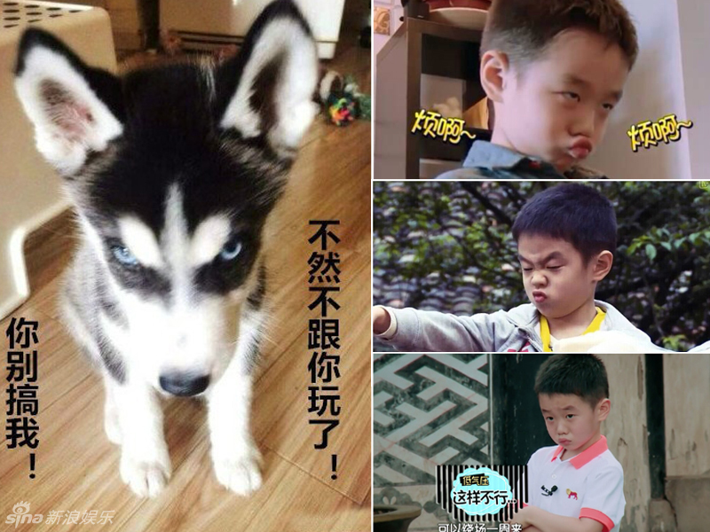 不小心就撞臉了！盤點(diǎn)動(dòng)物界的明星相