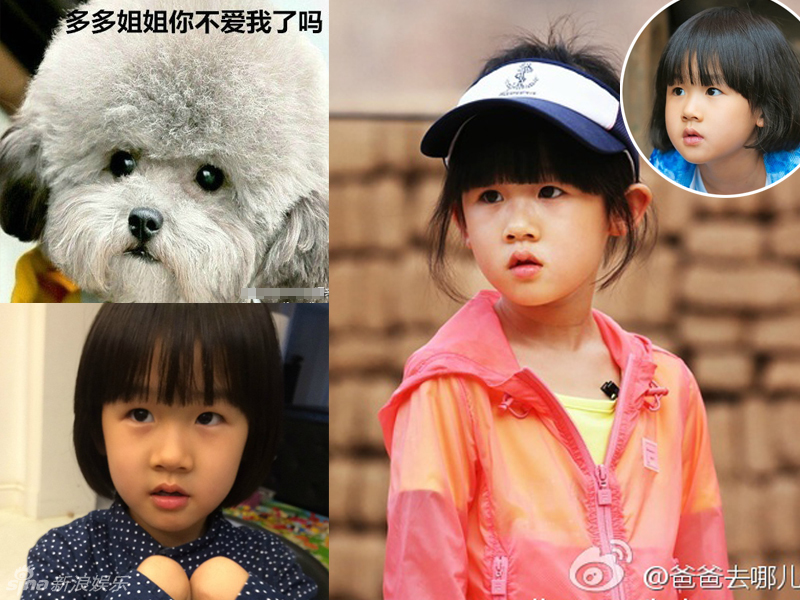 不小心就撞臉了！盤點(diǎn)動(dòng)物界的明星相