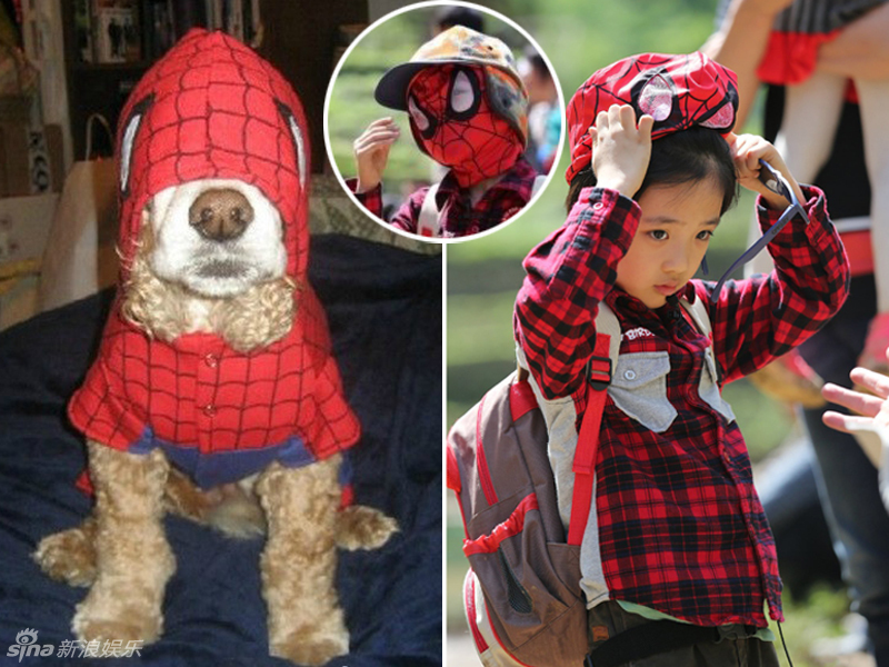 不小心就撞臉了！盤點(diǎn)動(dòng)物界的明星相