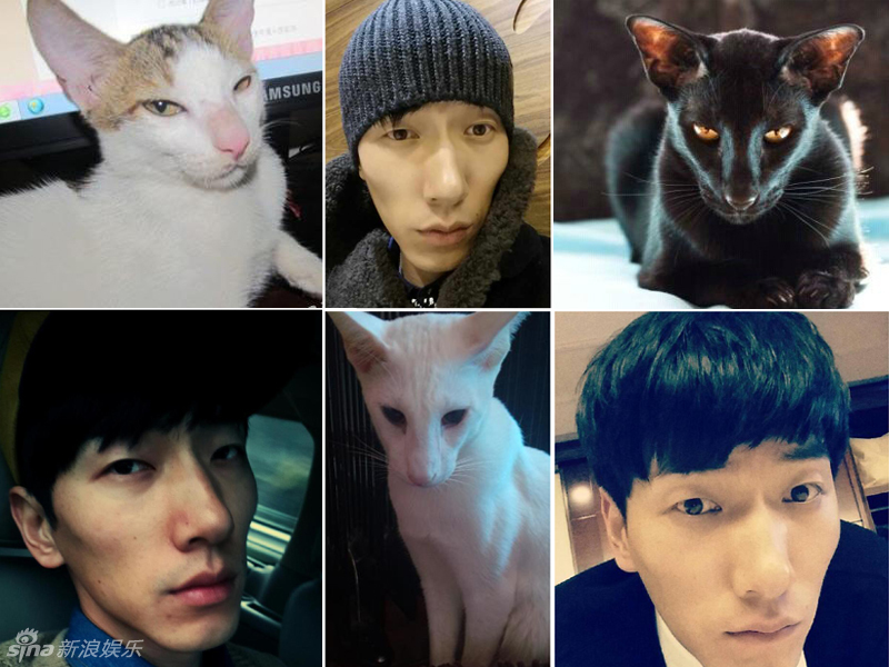 不小心就撞臉了！盤點(diǎn)動(dòng)物界的明星相